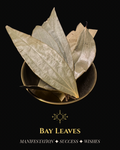 Bay Leaves