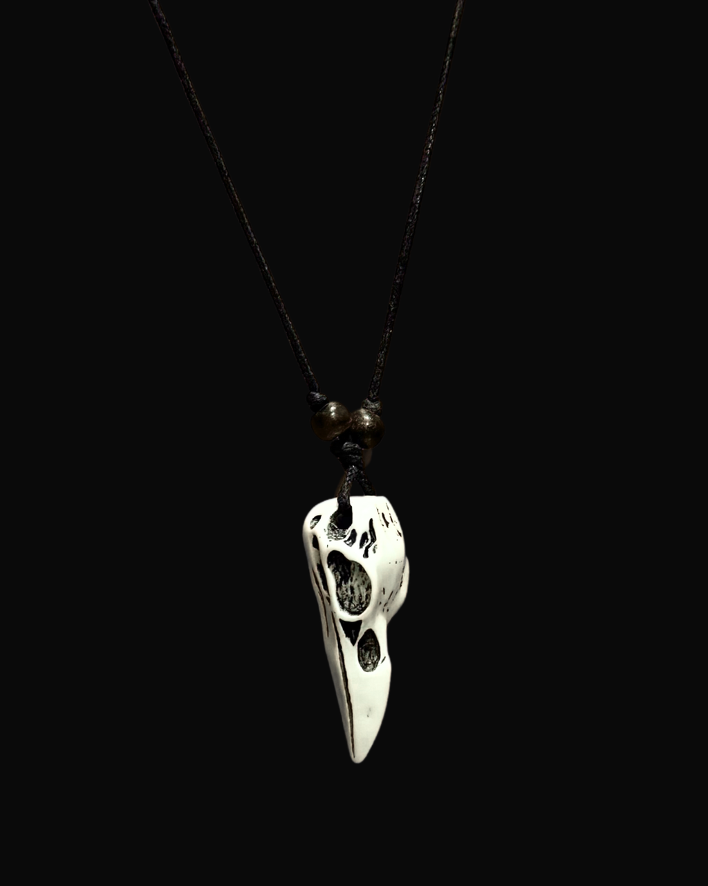 Raven's Omen Necklace