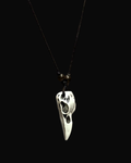 Raven's Omen Necklace